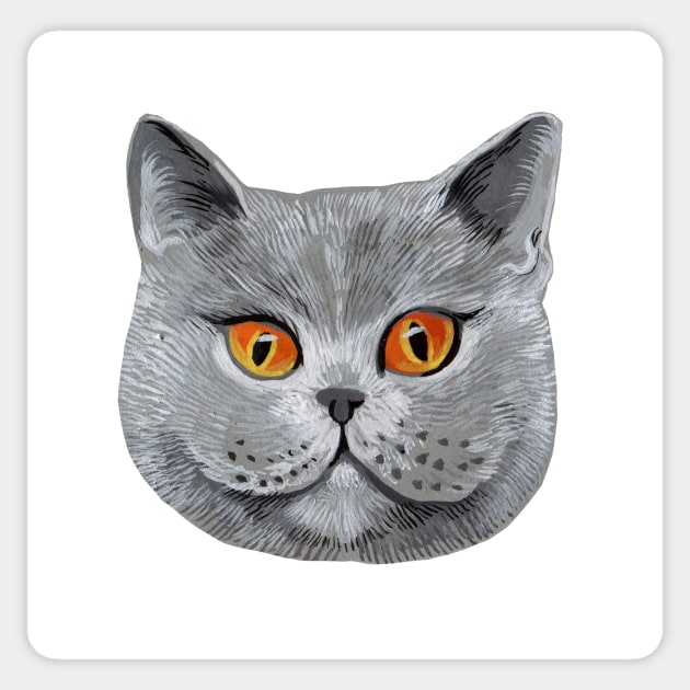 British Shorthair Sticker by argiropulo